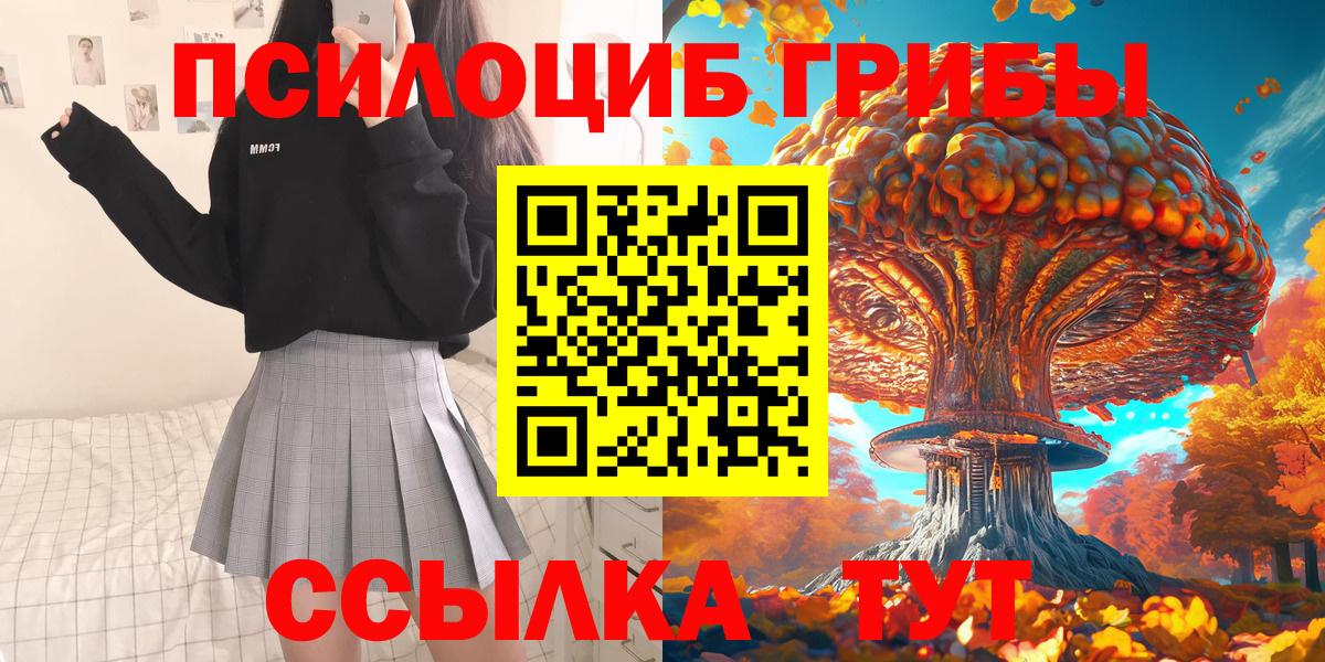 Псилоцибиновые грибы мицелий Реутов