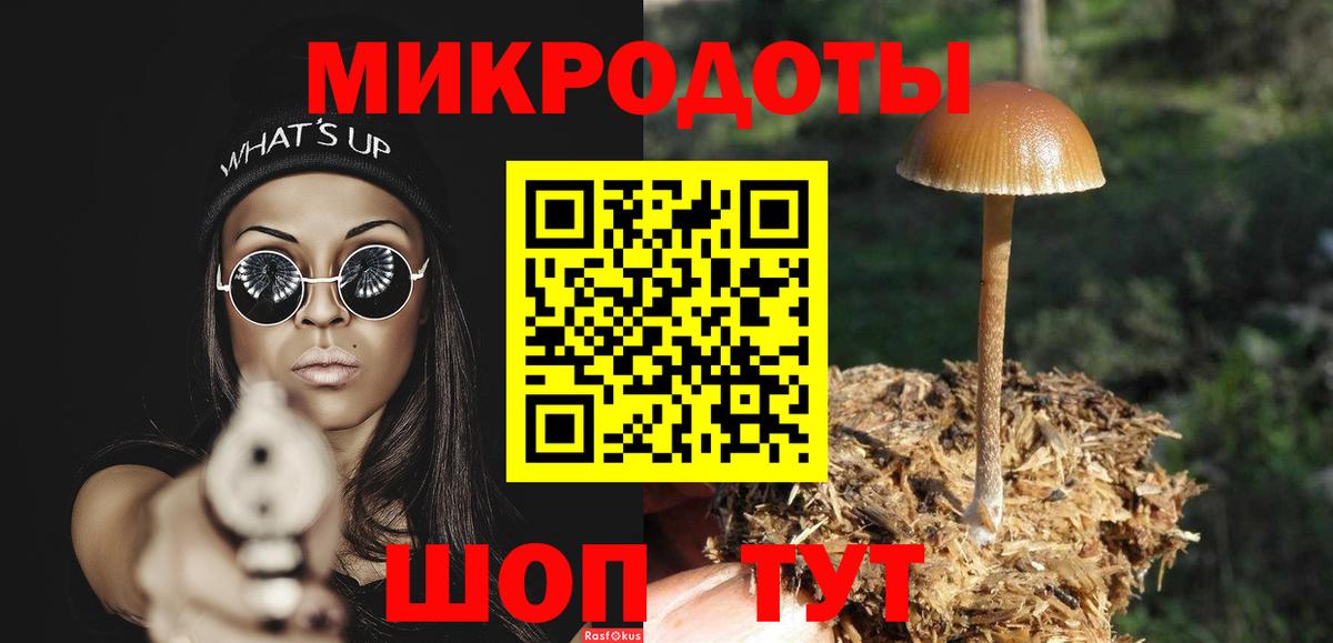 Реутов  Псилоцибиновые грибы Cubensis  Вход с VPN 